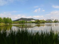 浙江農林師范大學東湖校區(qū)歷年錄取分數線