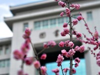 延安大學(xué)師范學(xué)院楊家?guī)X校區(qū)2023年學(xué)費(fèi)、收費(fèi)多少