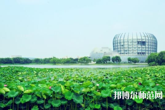 東華大學師范學院延安路校區(qū)招生辦聯(lián)系電話