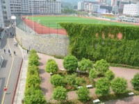 習(xí)水幼師職業(yè)技術(shù)學(xué)校2023年有哪些專業(yè)