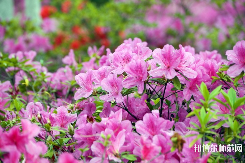 廈門城市師范職業(yè)學院