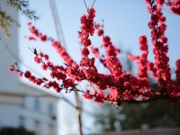 山東威海藝術(shù)幼兒師范學(xué)校2023年學(xué)費、收費多少