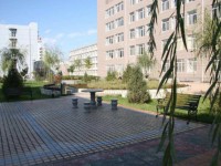 寧夏大學新華師范學院2020年招生錄取分數線