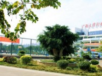 廣西大學(xué)行健文理師范學(xué)院2023年學(xué)費(fèi)、收費(fèi)多少