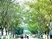 柳州城市職業(yè)師范學(xué)院2023年招生錄取分數(shù)線