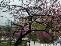 貴陽(yáng)中華幼師職業(yè)學(xué)校2023年怎么樣、好不好