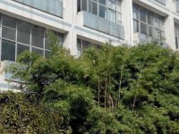 貴州貴陽中山科技幼兒師范學(xué)校2023年學(xué)費、收費多少