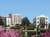 臨沂第一職業(yè)幼兒師范中等專業(yè)學(xué)校2023年學(xué)費(fèi)、收費(fèi)多少