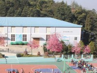 云南林業(yè)幼兒師范高級(jí)技工學(xué)校2023年學(xué)費(fèi)、收費(fèi)多少