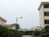 石家莊東方科技幼兒師范中等專(zhuān)業(yè)學(xué)校2023年招生錄取分?jǐn)?shù)線