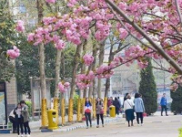 石家莊法商幼兒師范中等專業(yè)學(xué)校2023年學(xué)費(fèi)、收費(fèi)多少