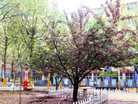 石家莊法商幼兒師范中等專業(yè)學(xué)校2023年報(bào)名條件、招生要求、招生對(duì)象