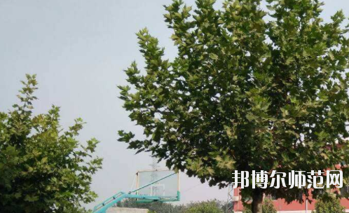 石家莊工業(yè)幼兒師范中等專業(yè)學校地址在哪里