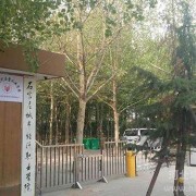 石家莊華師經(jīng)濟(jì)管理幼兒師范中等專(zhuān)業(yè)學(xué)校