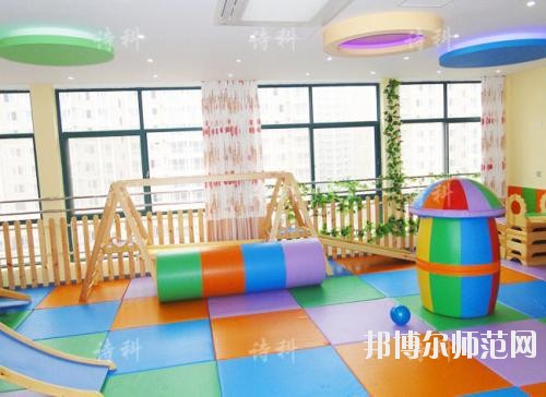 成都2020年有幼師學(xué)校的大專(zhuān)