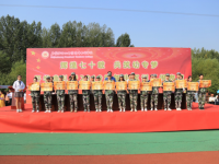 石家莊幼兒師范高等?？茖W(xué)校2023年是幾專