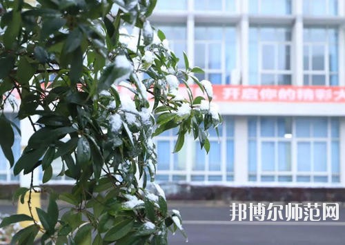 德陽科貿職業(yè)學院幼師升學班地址在哪里