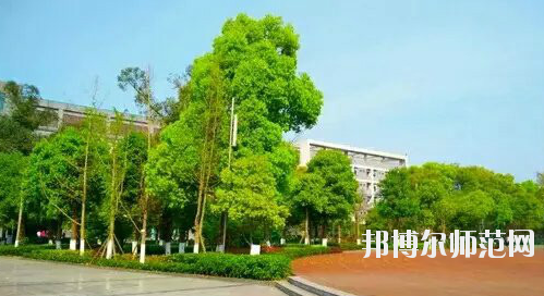 重慶市九龍坡幼師職業(yè)教育中心怎么樣、好不好。