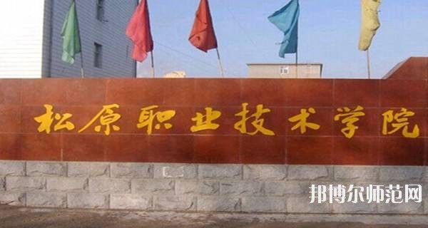 松原職業(yè)技術(shù)師范學院2021年招生代碼