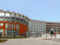 濟南幼兒師范高等?？茖W校2023年有哪些專業(yè)