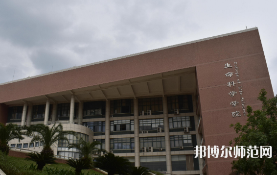 中山師范大學珠海校區(qū)2023年有哪些專業(yè)