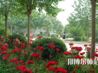 河南科技職業(yè)師范大學2023年報名條件、招生要求、招生對象