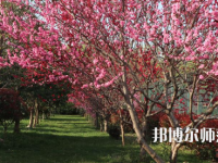 河南科技職業(yè)師范大學(xué)2023年怎么樣、好不好