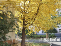 北京京北職業(yè)師范技術(shù)學(xué)院2023年報名條件、招生要求、招生對象