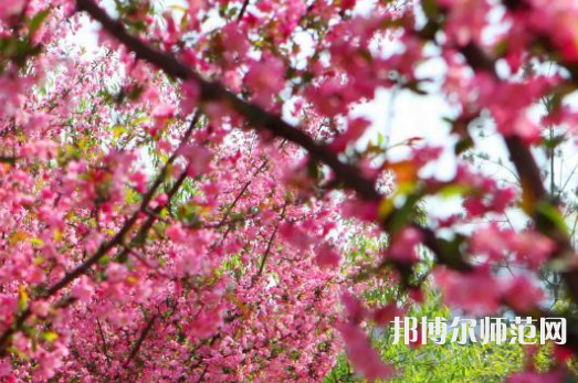 鄭州大學(xué)師范學(xué)院主校區(qū)2023年報(bào)名條件、招生要求、招生對(duì)象