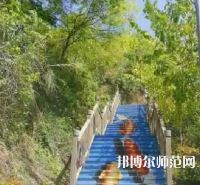 華僑師范大學廈門校區(qū)2023年招生代碼