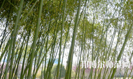 周口職業(yè)技術師范學院開元校區(qū)2023年報名條件、招生要求、招生對象
