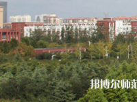 鶴壁職業(yè)技術師范學院2023年招生計劃