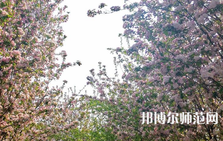 鶴壁職業(yè)技術(shù)師范學(xué)院2023年有哪些專(zhuān)業(yè)