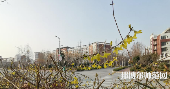 鶴壁職業(yè)技術(shù)師范學(xué)院2023年報(bào)名條件、招生要求、招生對(duì)象