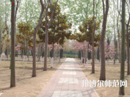 濮陽(yáng)職業(yè)技術(shù)師范學(xué)院2023年報(bào)名條件、招生要求、招生對(duì)象