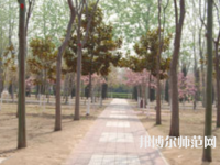 濮陽職業(yè)技術師范學院2023年報名條件、招生要求、招生對象