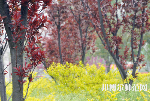 駐馬店師范職業(yè)技術(shù)學(xué)院2023年有哪些專(zhuān)業(yè)