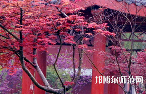 駐馬店師范職業(yè)技術(shù)學院2023年怎么樣、好不好