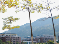 福建師范大學協和學院2023年有哪些專業(yè)