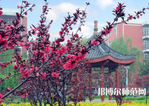 駐馬店師范職業(yè)技術(shù)學(xué)院2023年報(bào)名條件、招生要求、招生對(duì)象