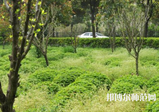 駐馬店師范職業(yè)技術(shù)學(xué)院2023年報(bào)名條件、招生要求、招生對(duì)象