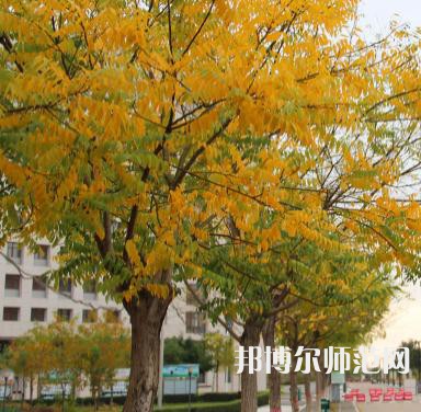 榆林職業(yè)技術(shù)師范學(xué)院2023年怎么樣、好不好