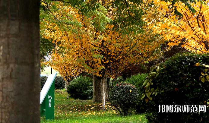 陜西職業(yè)技術(shù)師范學院2023年招生錄取分數(shù)線