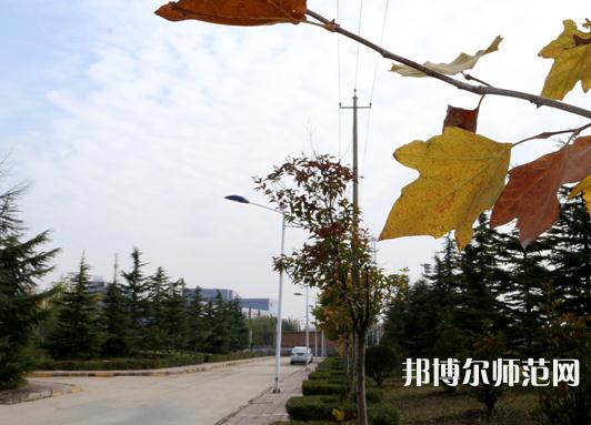 陜西中醫(yī)藥師范大學(xué)南校區(qū)2023年報(bào)名條件、招生要求、招生對(duì)象
