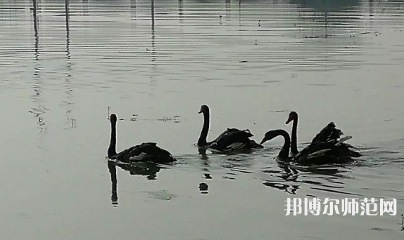 浙江師范大學(xué)行知學(xué)院蘭溪校區(qū)2023年怎么樣、好不好