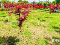 漢中職業(yè)技術師范學院2023年怎么樣、好不好