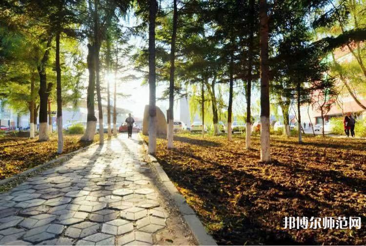 長春大學師范學院主校區(qū)2023年報名條件、招生要求、招生對象