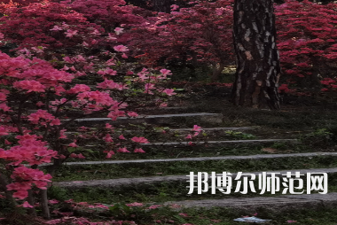 信陽師范學(xué)院華銳學(xué)院2023年報名條件、招生要求、招生對象