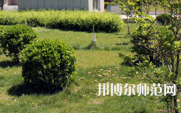 安陽幼兒師范高等?？茖W(xué)校歷年招生錄取分?jǐn)?shù)線