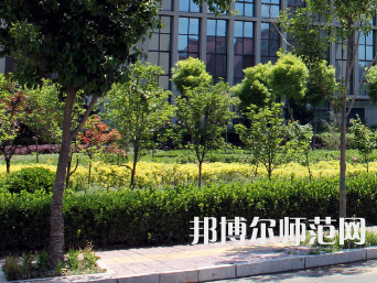 安陽幼兒師范高等?？茖W(xué)校2023年有哪些專業(yè)